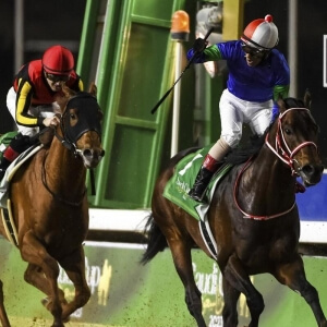 Riyadh Horse Racing Season 17 October 2024 Riyadh Tickets